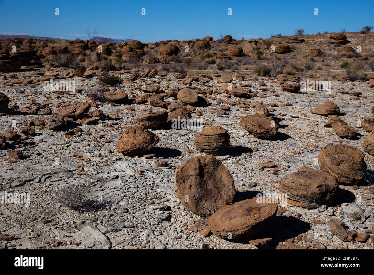 Concretions weathered out of Cretaceous deposits litter the ground. Stock Photo