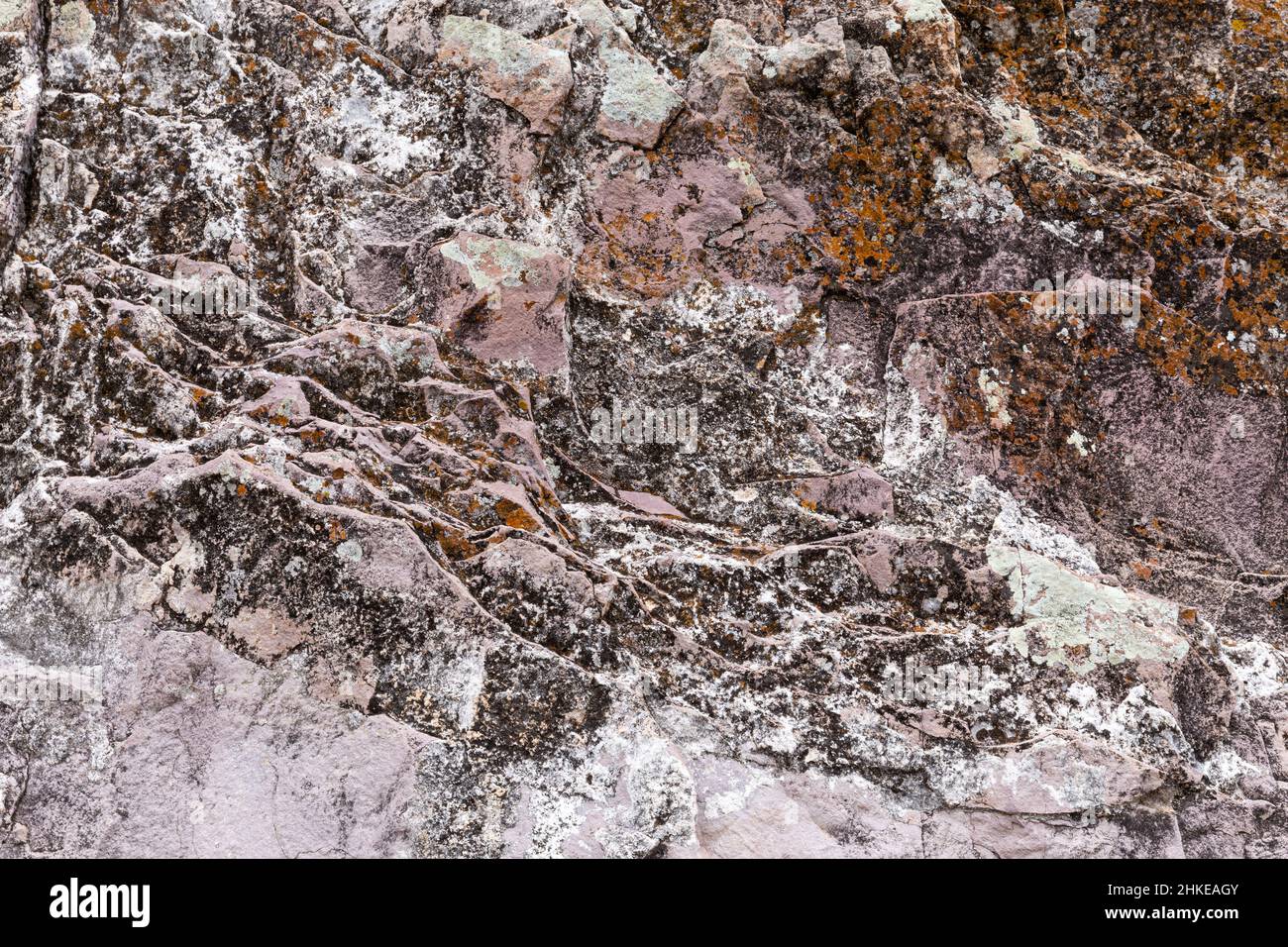 Lichen-encrusted igneous rock for background texture. Stock Photo