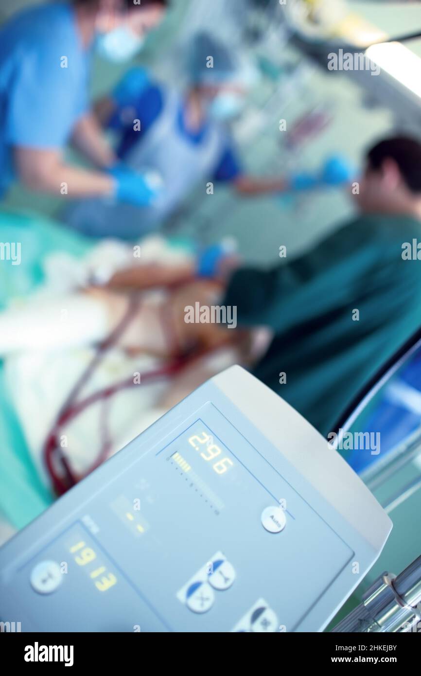 Medical team provides emergency care to the patient in the