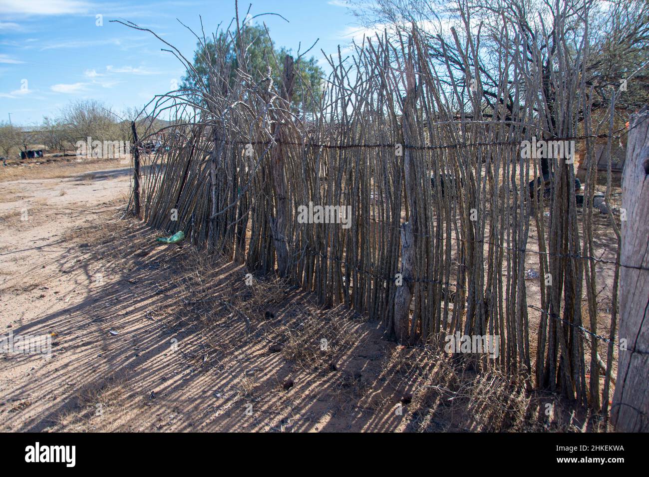 A fence made up entirely of tree branches. Off o Highway 3, Sonora, Mexico. Stock Photo