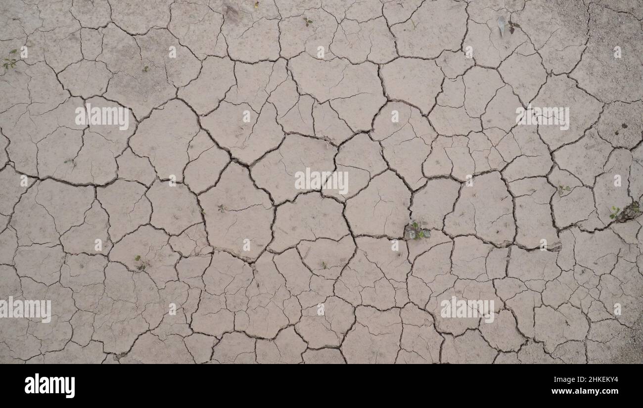 Cracked dry mud background on the top view Stock Photo
