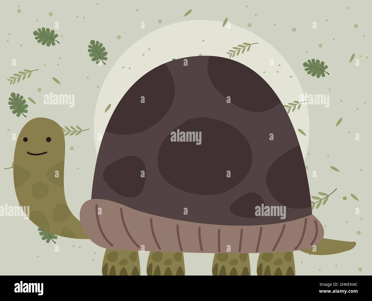 cute turtle woodland animal Stock Vector Image & Art - Alamy