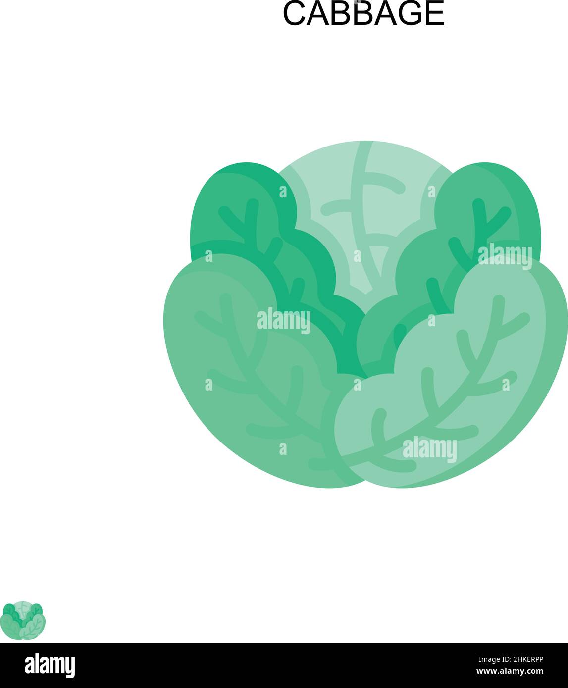 Cabbage Simple Vector Icon Illustration Symbol Design Template For Web Cabbage Simple Vector Icon Illustration Symbol Design Template For Web