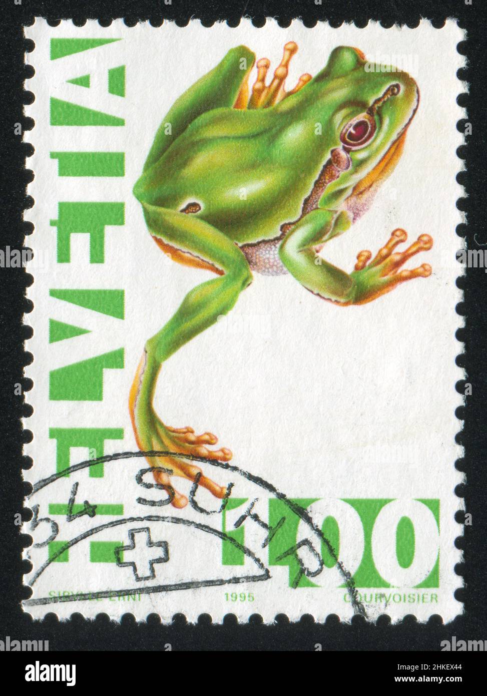 SWITZERLAND - CIRCA 1995: stamp printed by Switzerland, shows Green tree frog, circa 1995 Stock Photo