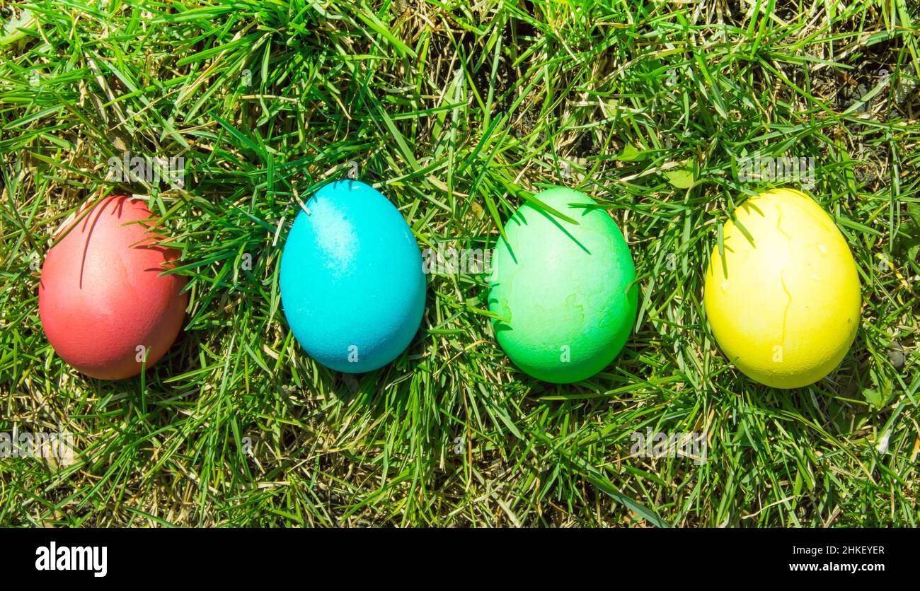 Four painted and decorative Easter eggs in the grass. Top view, copy space. Stock Photo