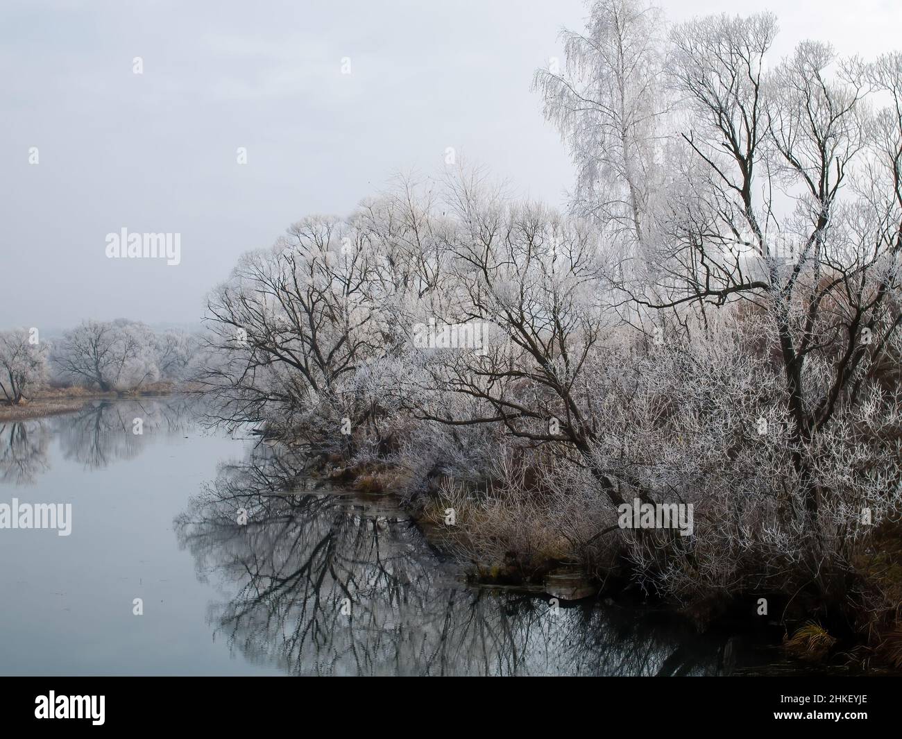 trees covered with frost on the river bank, in autumn Stock Photo