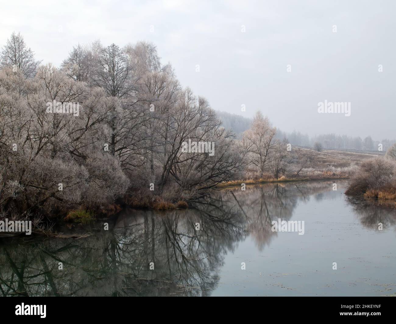 trees covered with frost on the river bank, in autumn Stock Photo