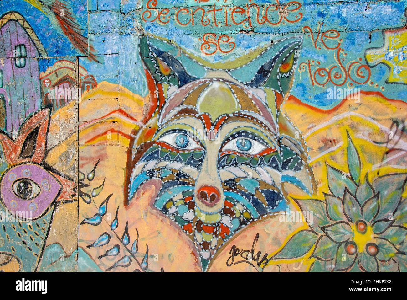 A public mural of a fox located in the Art's District of the city of Puerto Penasco, Mexico. Stock Photo