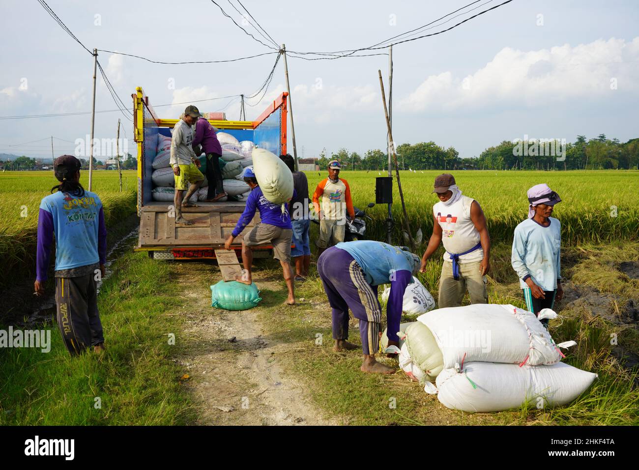 Loading rice sack hi-res stock photography and images - Alamy