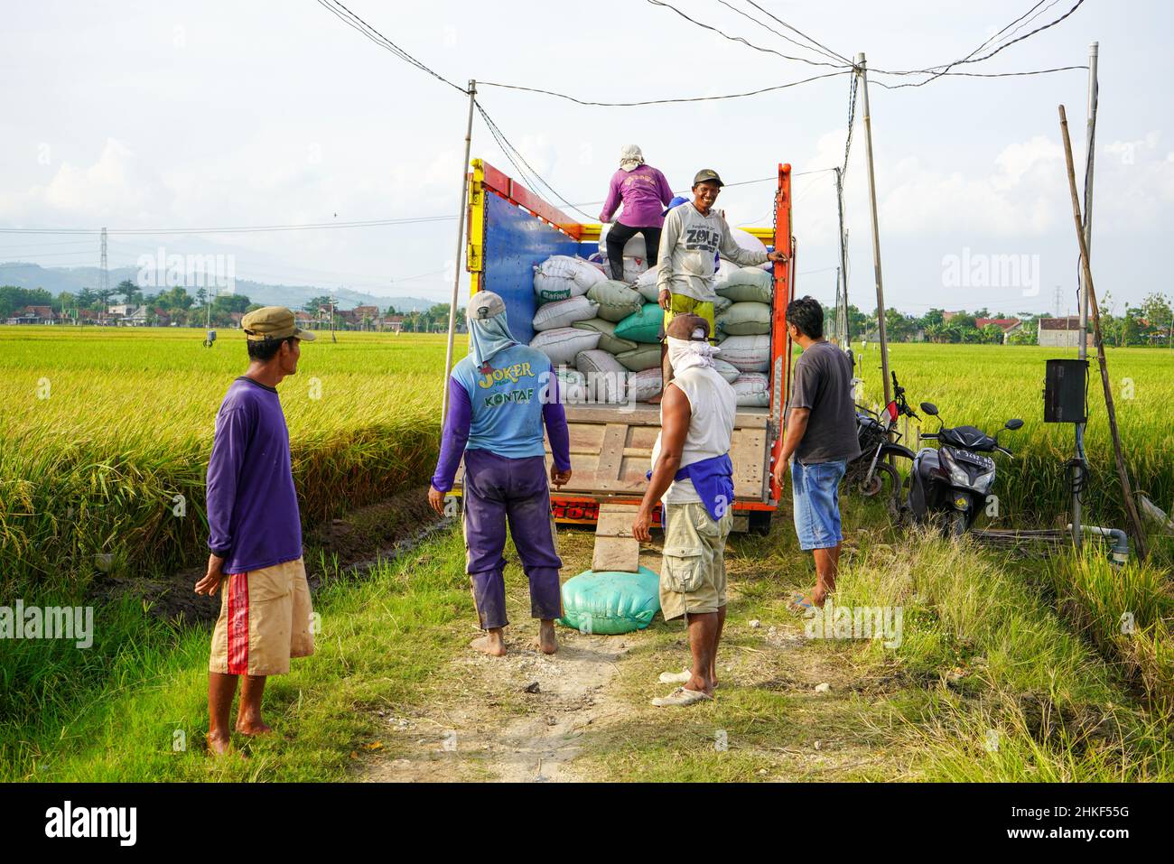 Pati, Indonesia - January, 2022 : The activities of farmers ...