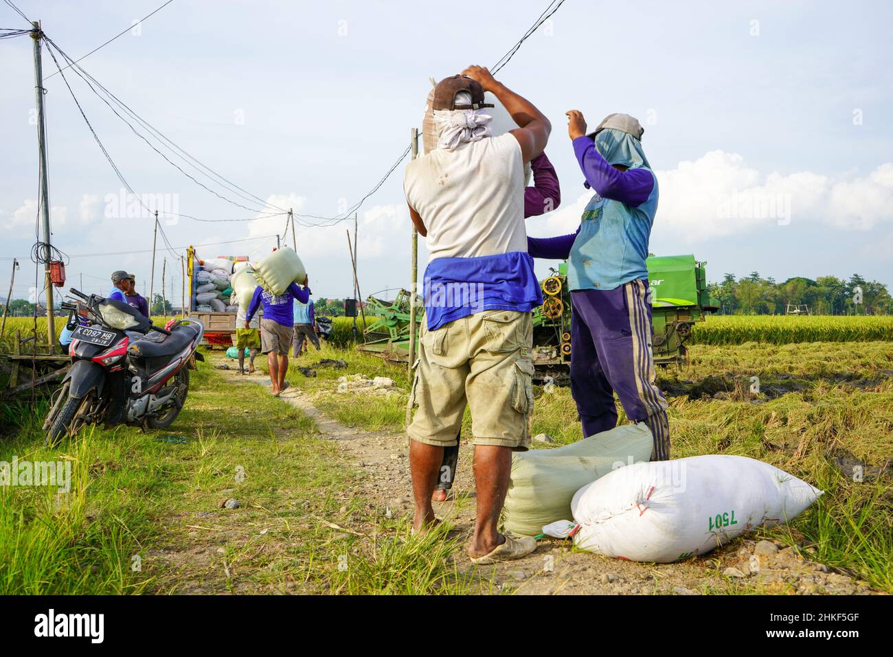 Pati, Indonesia - January, 2022 : The activities of farmers ...