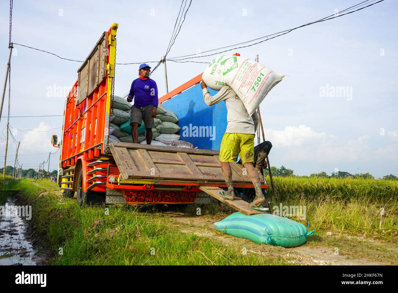 Pati, Indonesia - January, 2022 : The activities of farmers ...