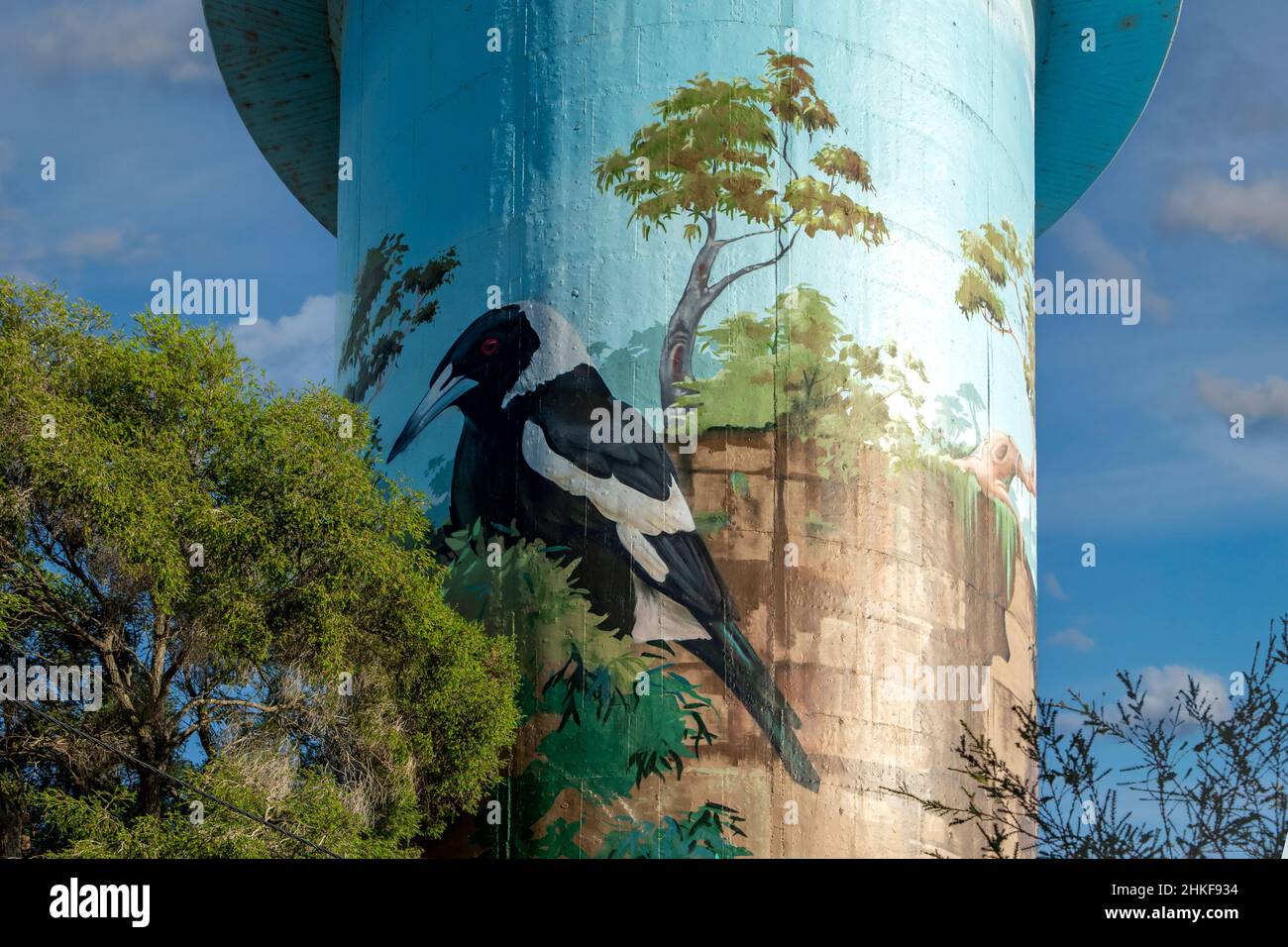 Water Tower Art, Lockhart, NSW, Australia Stock Photo Alamy