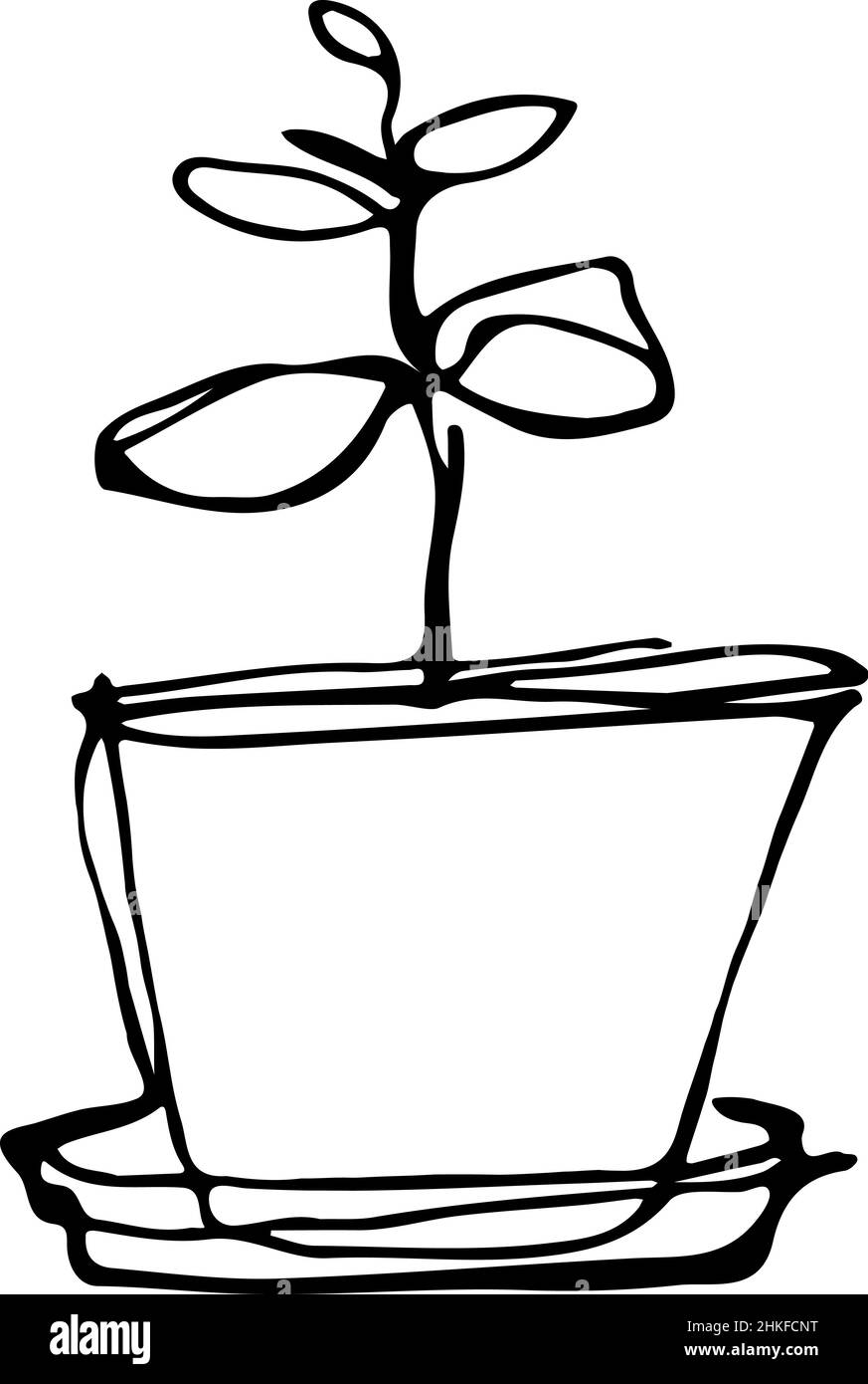 black and white sketch flower room in a flowerpot Stock Photo