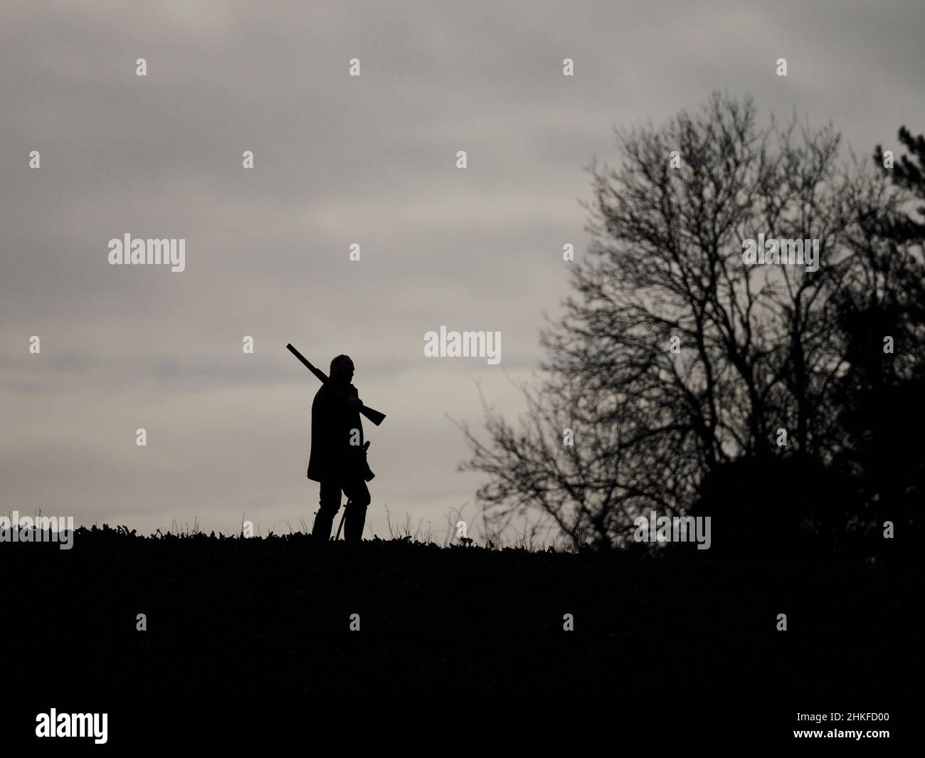 Game shooting on late winters afternoon. Stock Photo