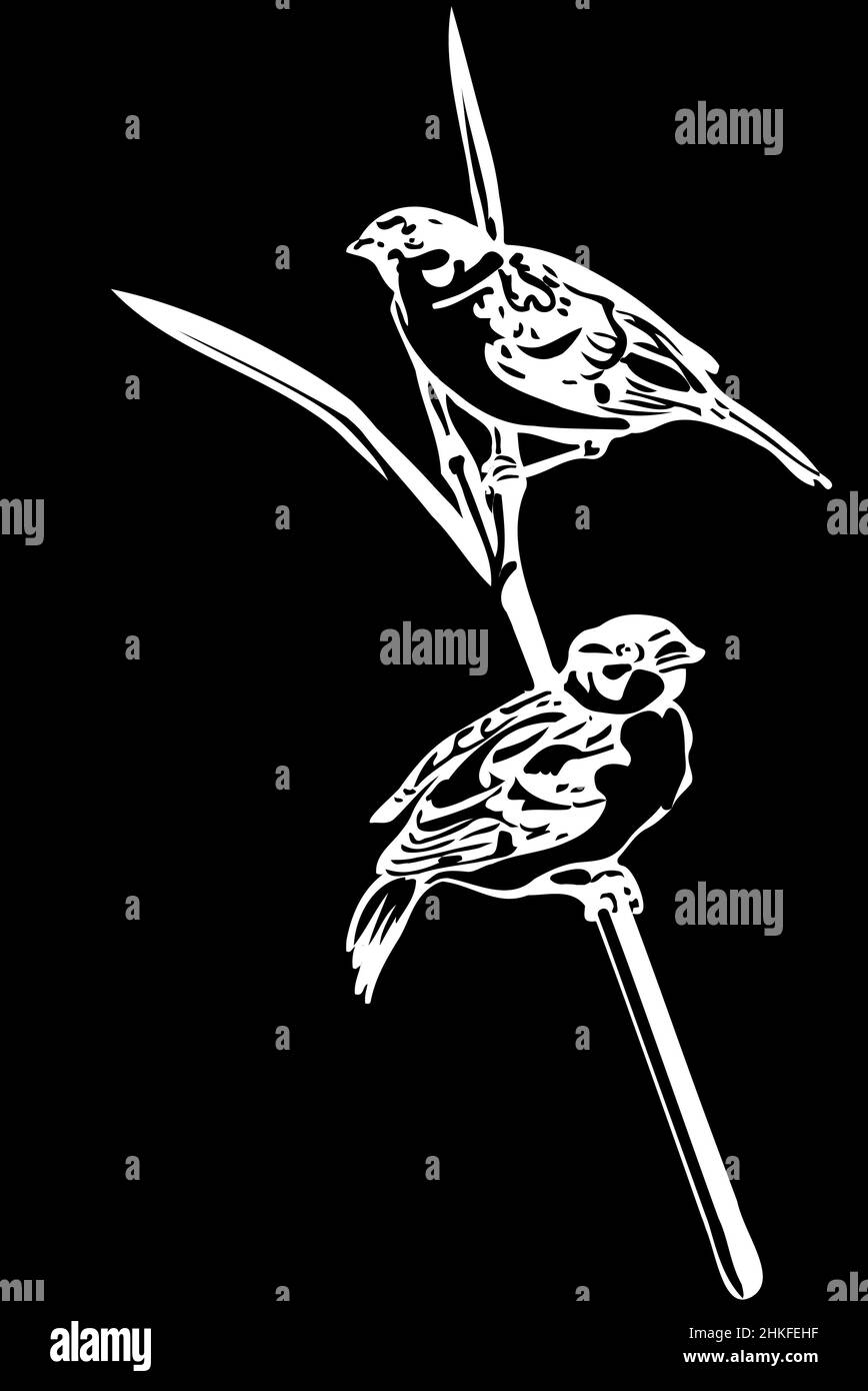black and white vector sketch of a little bird on a branch sparrow Stock Photo