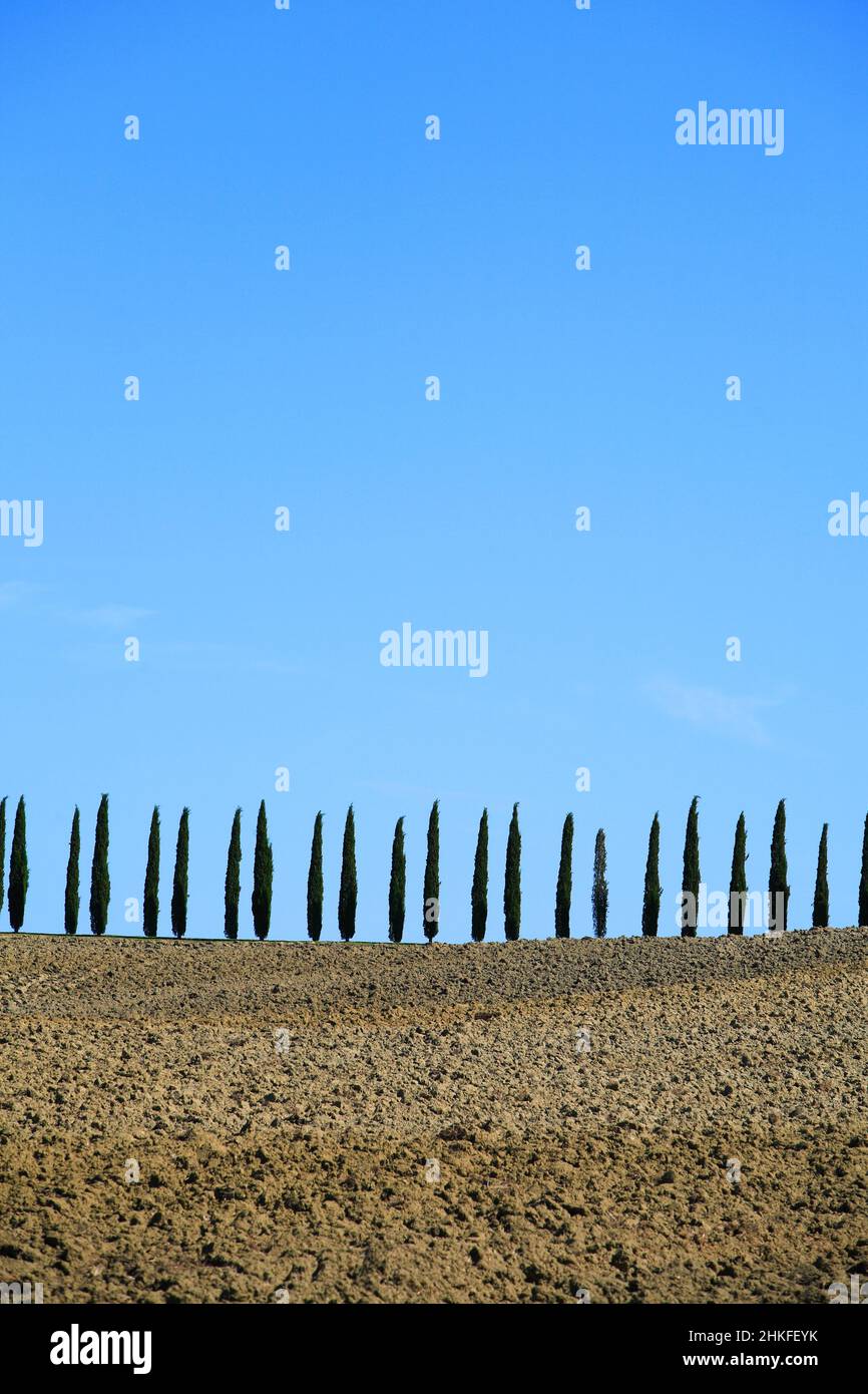 Plants with clods of earth hi-res stock photography and images - Alamy