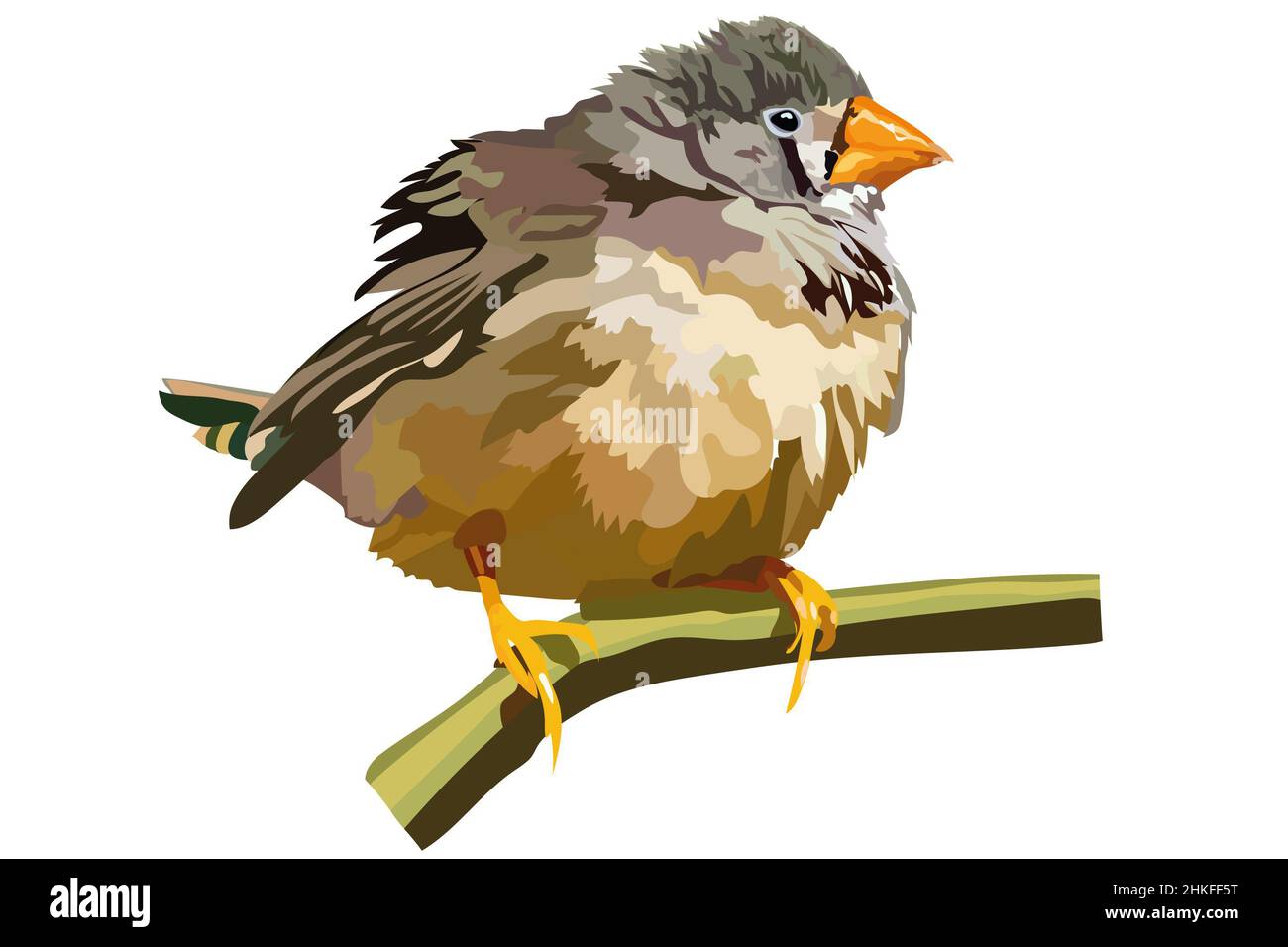 vector image of a small bird with a yellow beak sitting on a branch Stock Photo