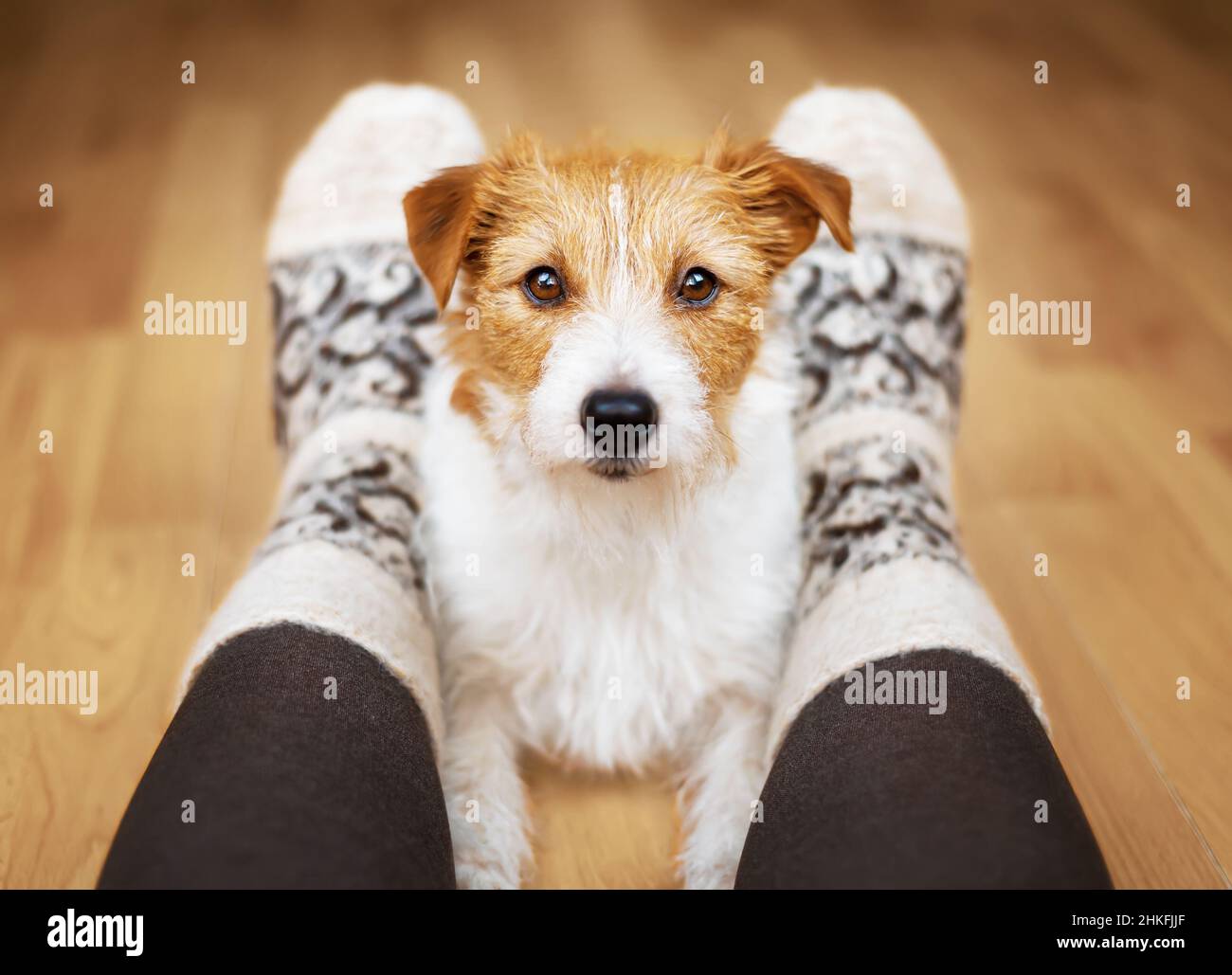 Communication human animal hi-res stock photography and images - Alamy
