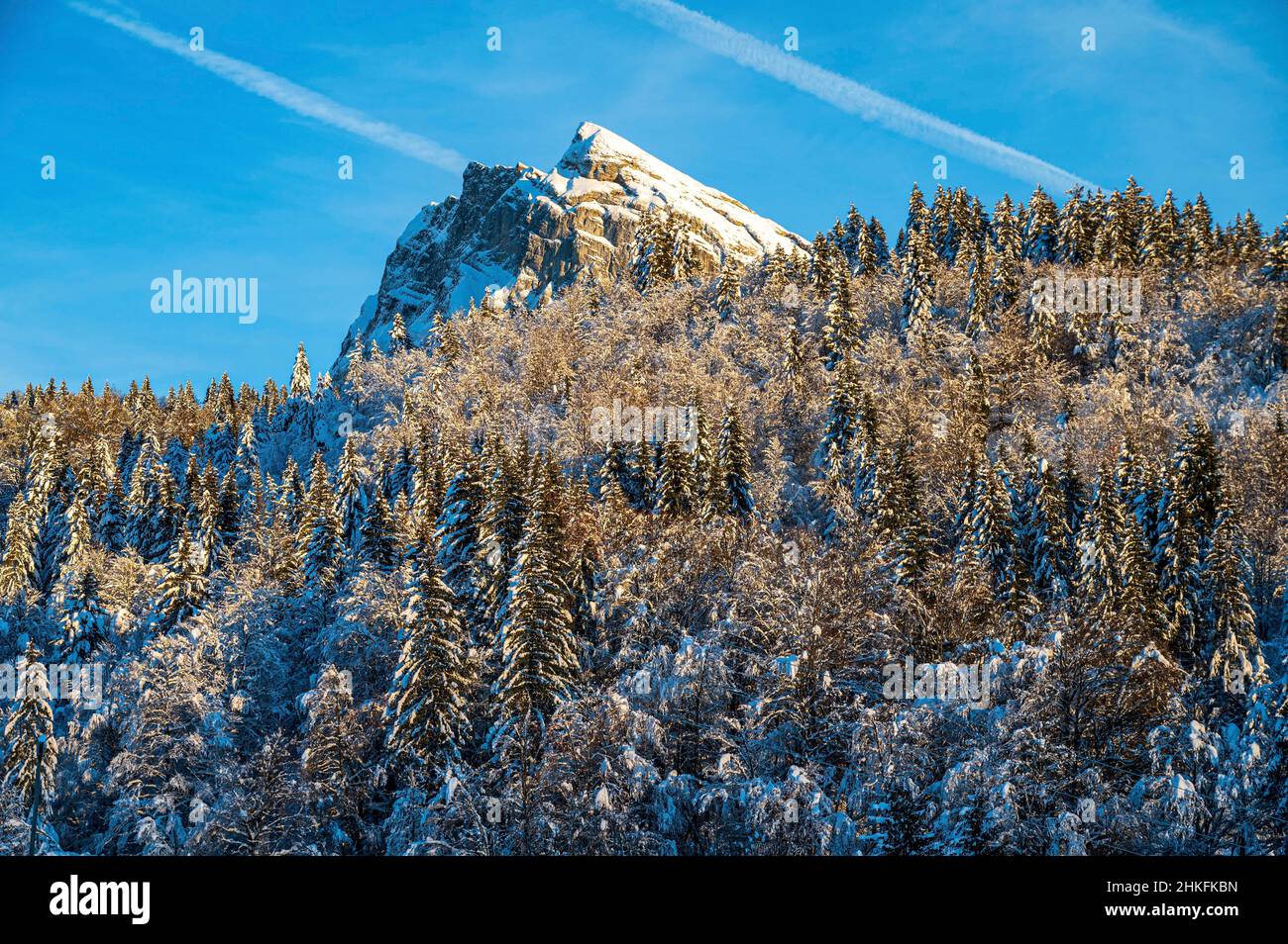 France, Haute-Savoie (74), Chablais massif, Samoëns, Grand Massif, view from the hamlet of Chantemerle Stock Photo