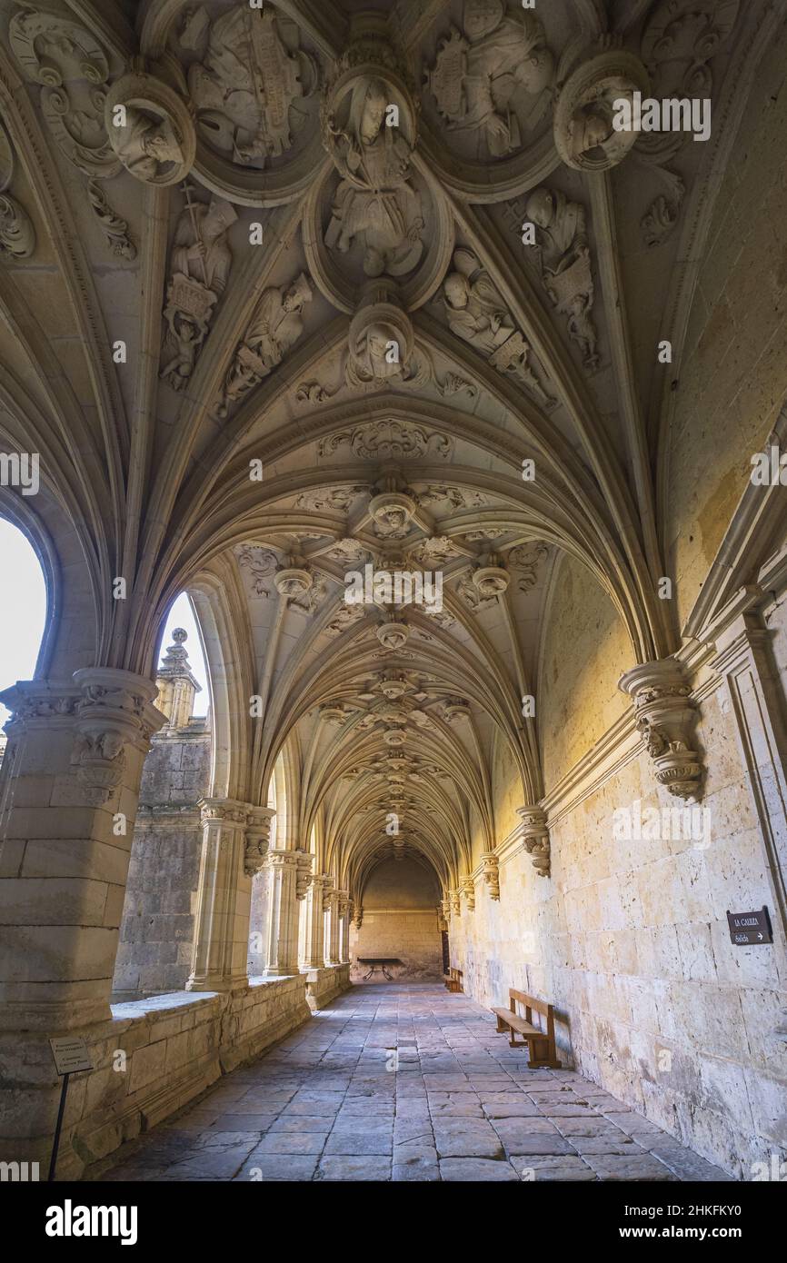 Spain, Castile and León, Carrion de los Condes, stage on the Camino Francés, Spanish route of the pilgrimage to Santiago de Compostela, listed as a UNESCO World Heritage Site, San Zoilo Cluniac monastery founded in the 10th century, Plateresque style cloister Stock Photo