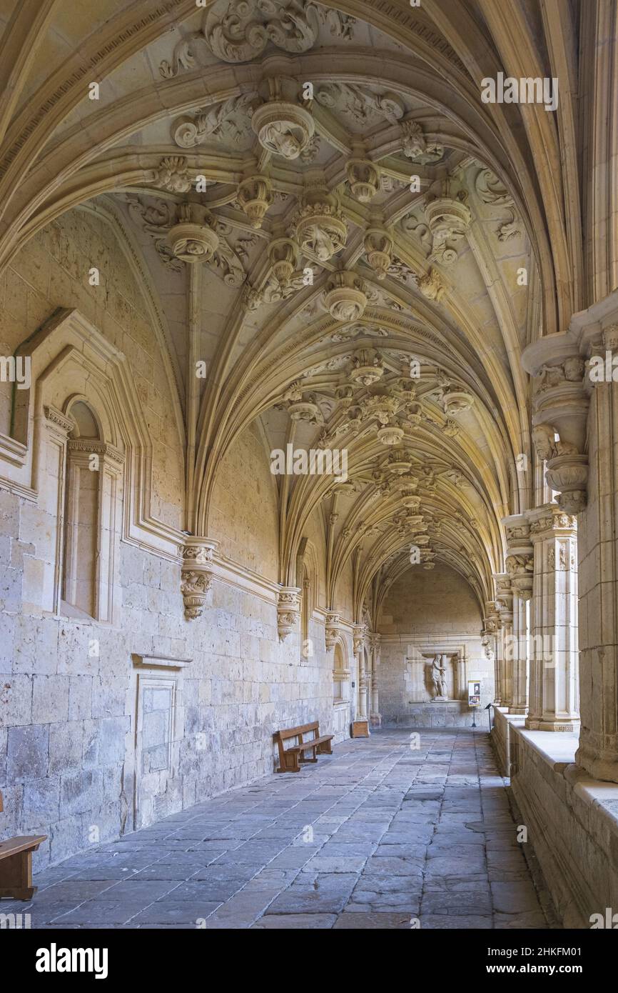 Spain, Castile and León, Carrion de los Condes, stage on the Camino Francés, Spanish route of the pilgrimage to Santiago de Compostela, listed as a UNESCO World Heritage Site, San Zoilo Cluniac monastery founded in the 10th century, Plateresque style cloister Stock Photo