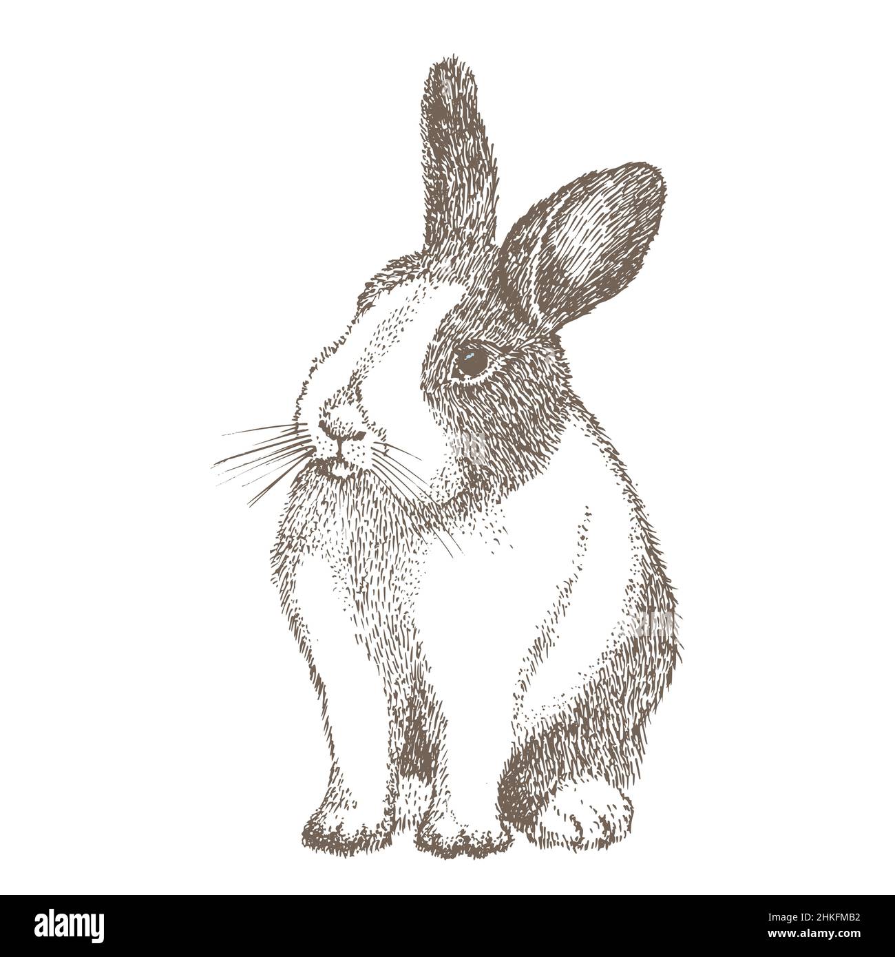 Art & Collectibles Drawing & Illustration Pen & Ink Rabbit in the