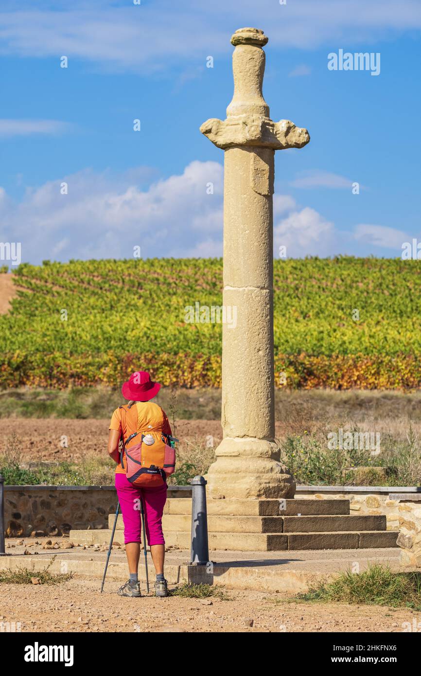 Azofra Spain, La Rioja, Azofra, hike on the Camino Francés, Spanish route of ...