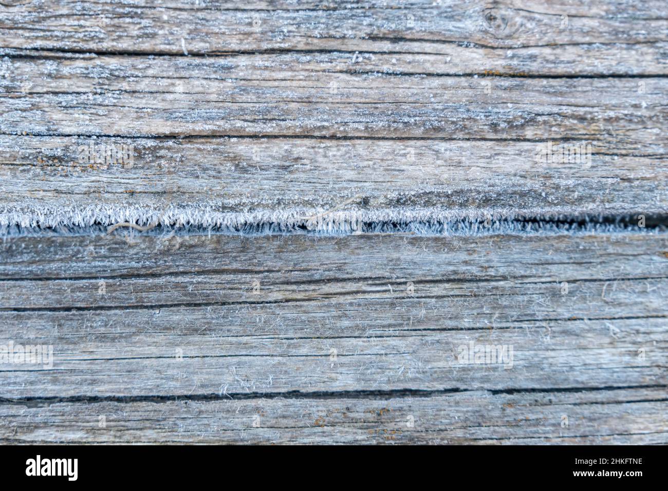 Pale faded brown and cool blue reclaimed pine wood surface with aged