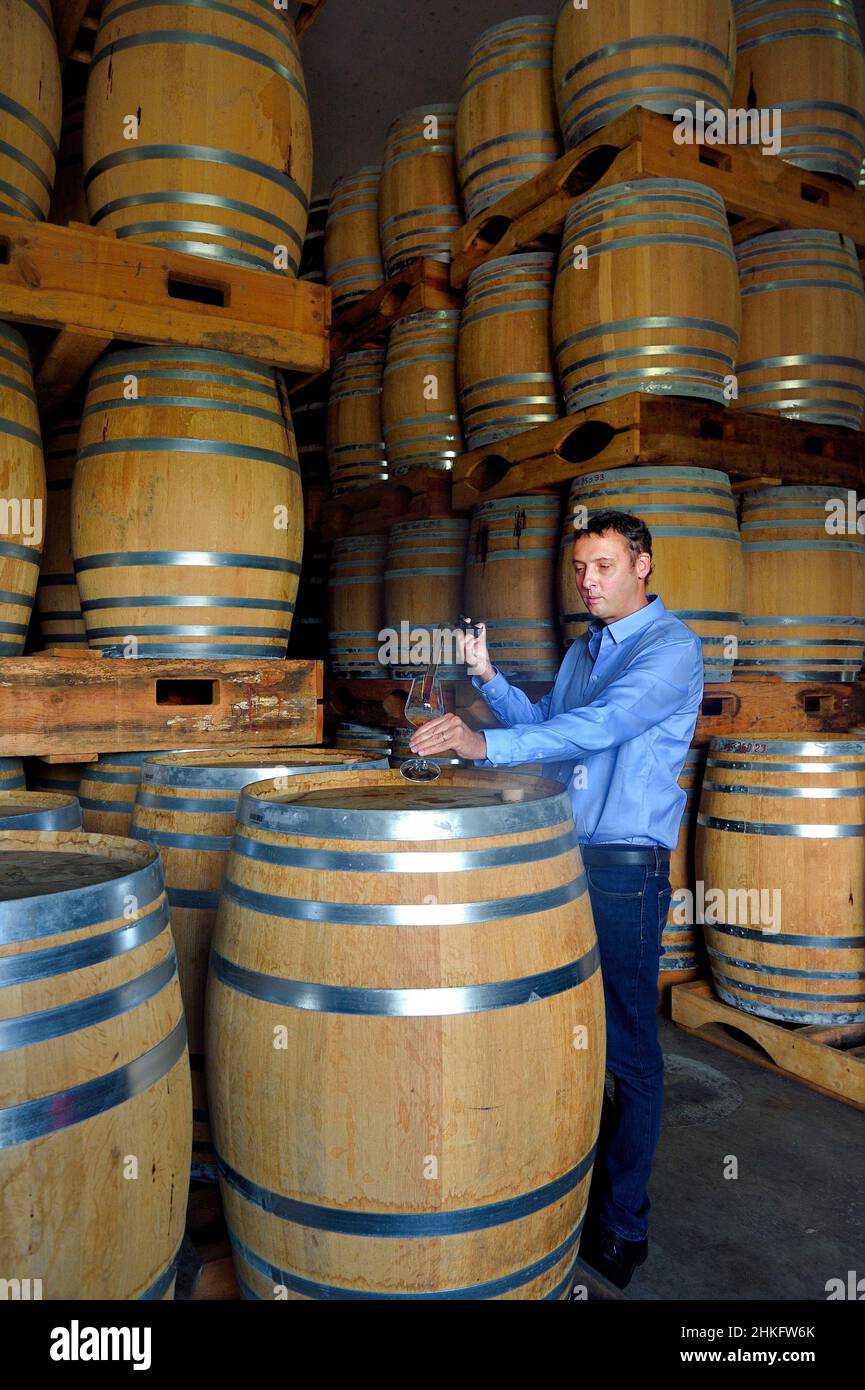France, Reunion island (French overseas department), Saint Pierre, estate of the Isautier distillery, aging of old rums in the cellars between 6 and 14 months in new barrels then several years afterwards by batch in red barrels, Cyril Isautier director of the rums and punches branch of the Isautier group takes a sample with a pipette for tasting Stock Photo