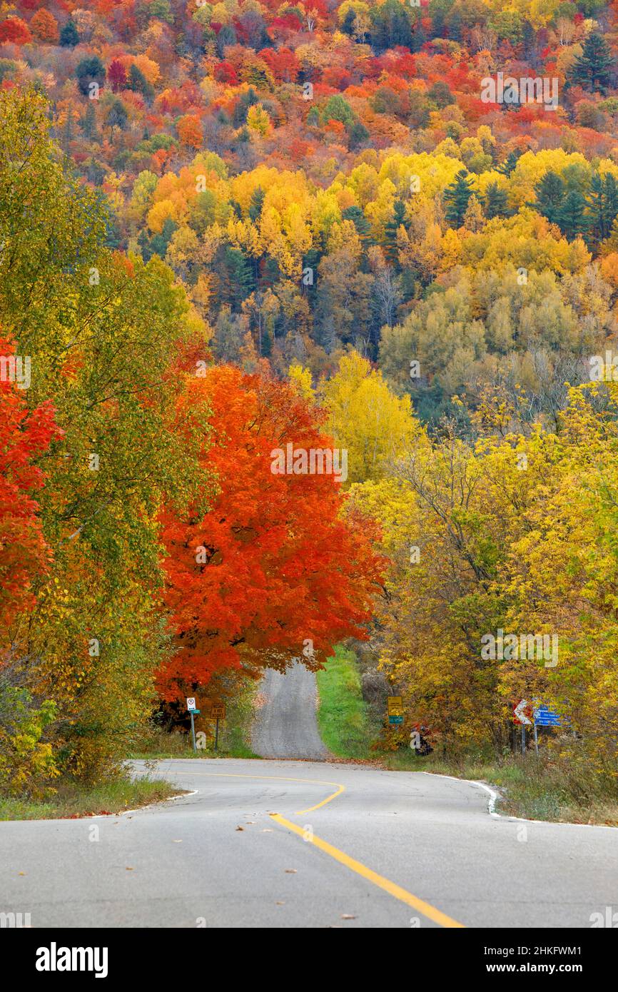Canada, province of Quebec, Lanaudiere, fall colors near the Parc Régional des Chutes Monte à Peine et des Dalles Stock Photo