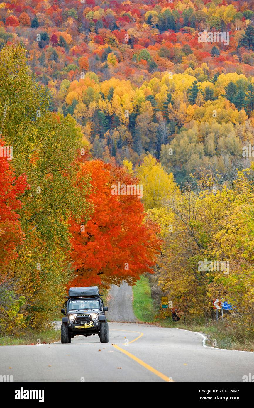 Canada, province of Quebec, Lanaudiere, fall colors near the Parc Régional des Chutes Monte à Peine et des Dalles Stock Photo