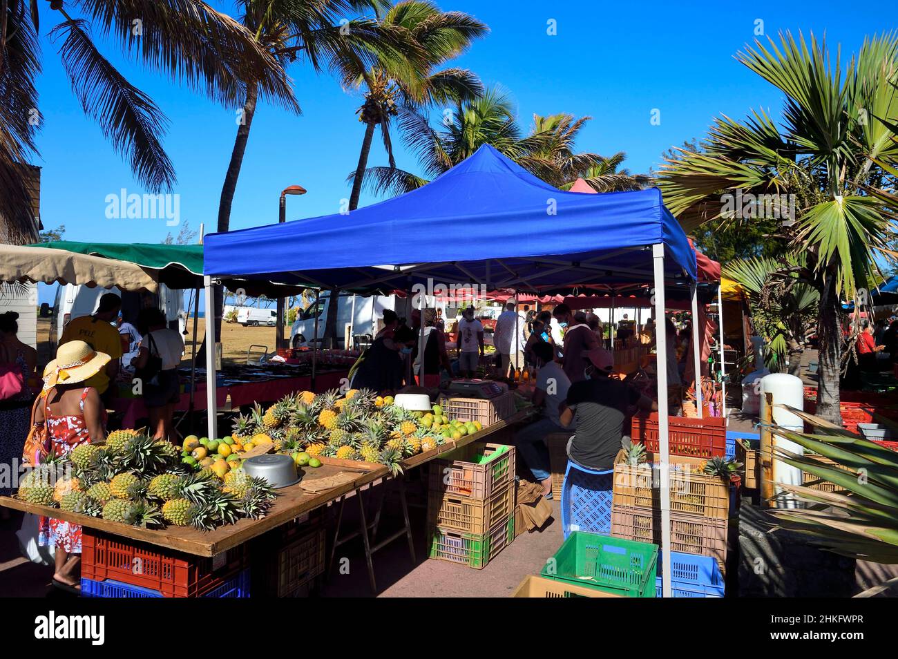 France, Reunion island (French overseas department), Saint-Pierre, the Saturday market, the pineapple fruit stalls Stock Photo