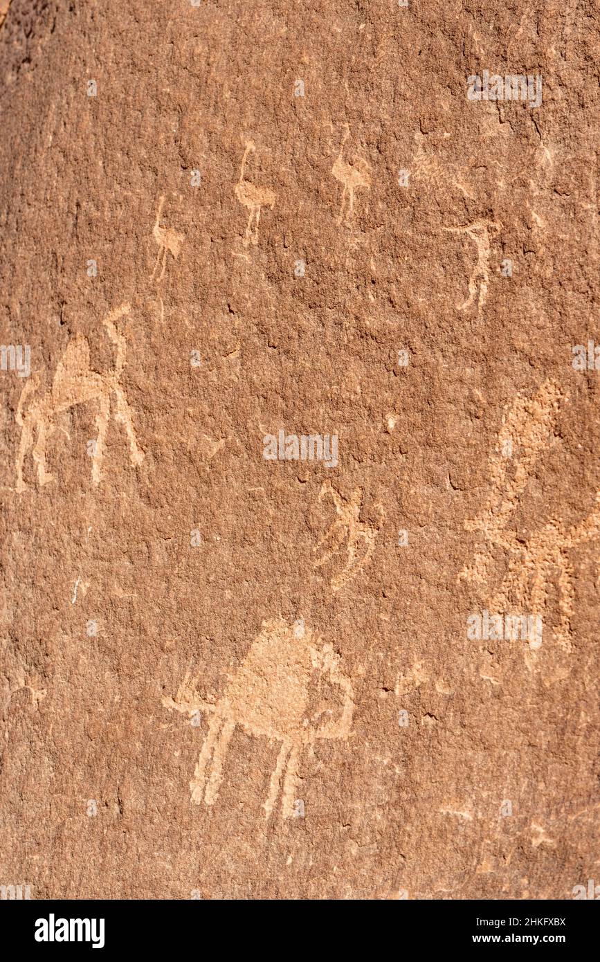 Jordan, Aqaba Governorate, Wadi Rum, listed as World Heritage by UNESCO, Petroglyphs, Talmudic drawings, Camel figures Stock Photo