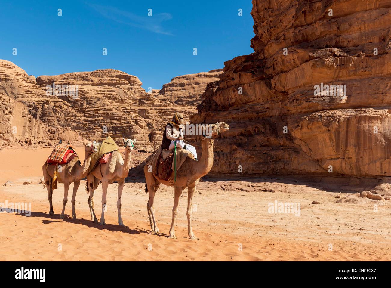 Jordan, Aqaba Governorate, Wadi Rum, listed as World Heritage by UNESCO, desert, mountains, bedouin and his camels Stock Photo