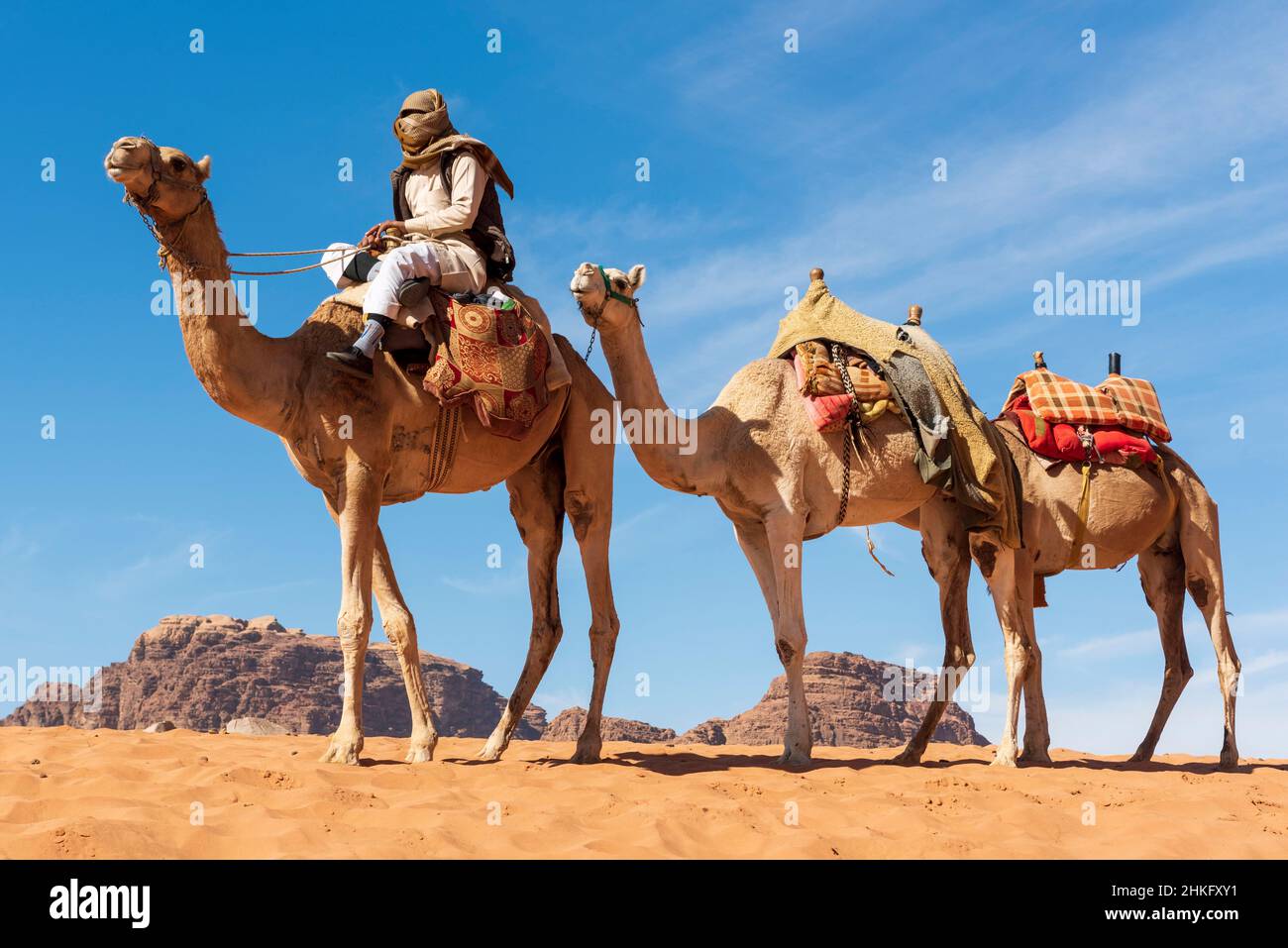 Jordan, Aqaba Governorate, Wadi Rum, listed as World Heritage by UNESCO, desert, bedouin and his camels Stock Photo