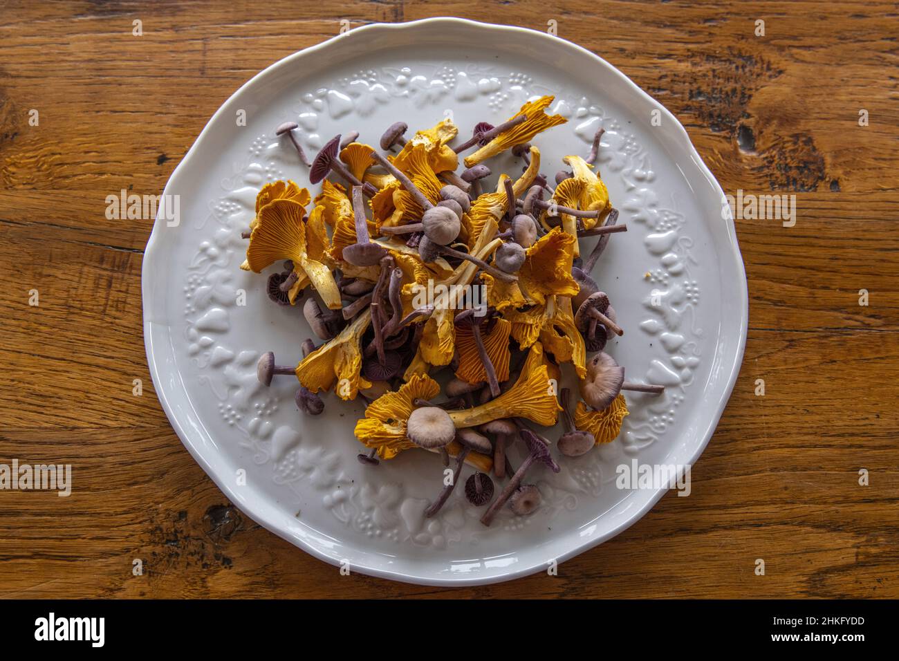 France, Somme, Crécy-en-Ponthieu, Crécy forest, Mushroom, Preparation of a mushroom omelette (Girolles and Laccaires améthystes) Stock Photo