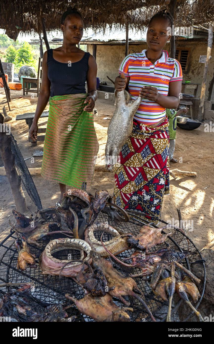 Benin, Dassa province, Houngpogon village, selling game Stock Photo