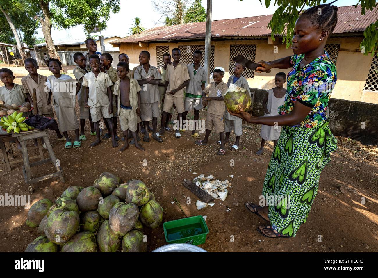 Benin, Zoungbonou, coconuts for the school children Stock Photo