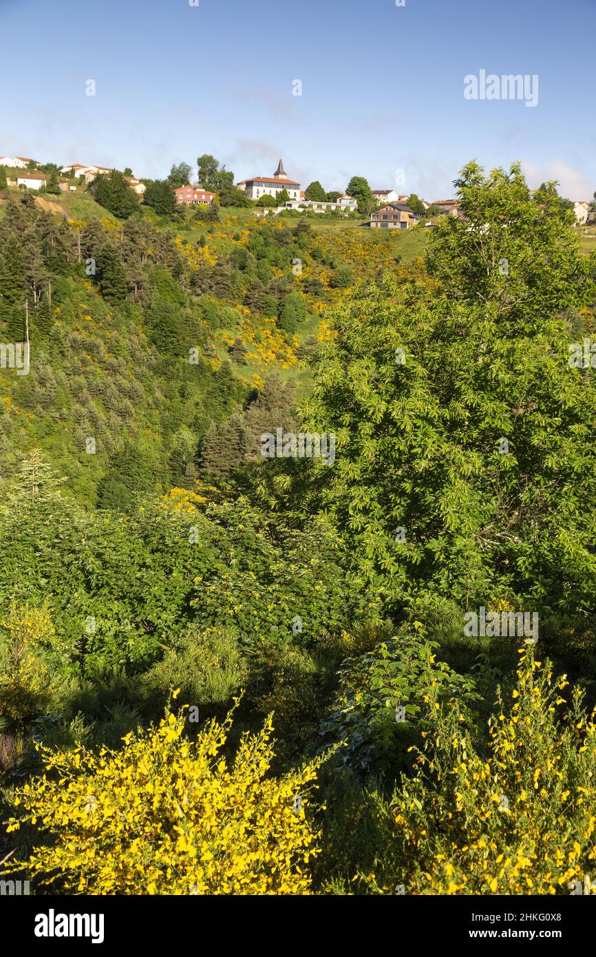 France, HauteLoire, Stock Photo Alamy