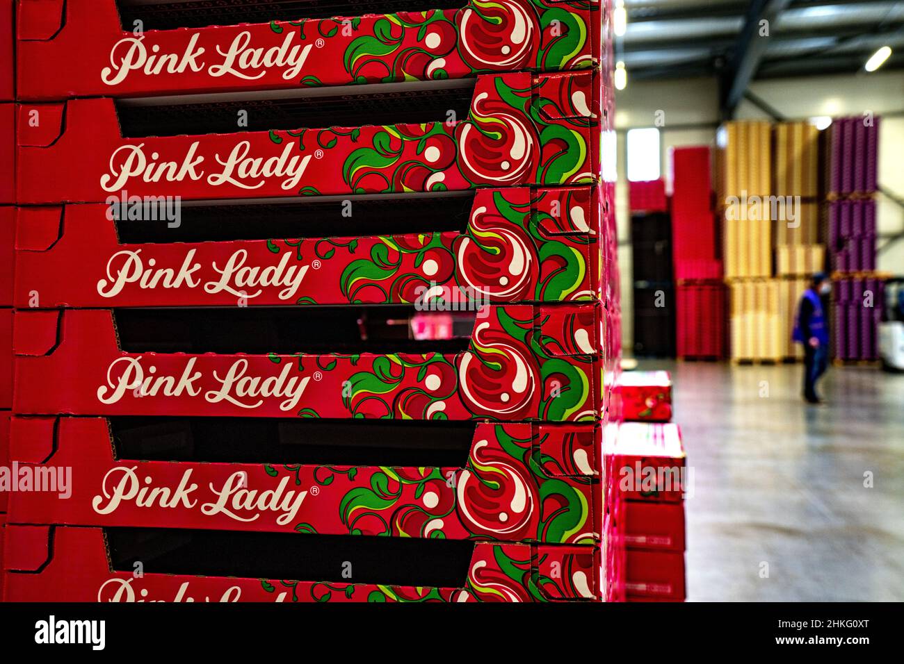 France, Herault, Saint Just, cofruid'oc is a co-op producing Pink Lady apples Stock Photo