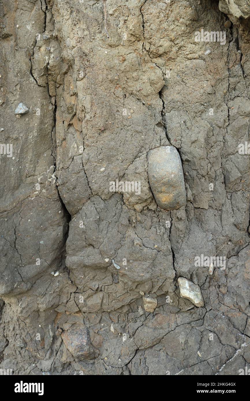 Image of a natural background of clay soil cut off the coast. Vertical