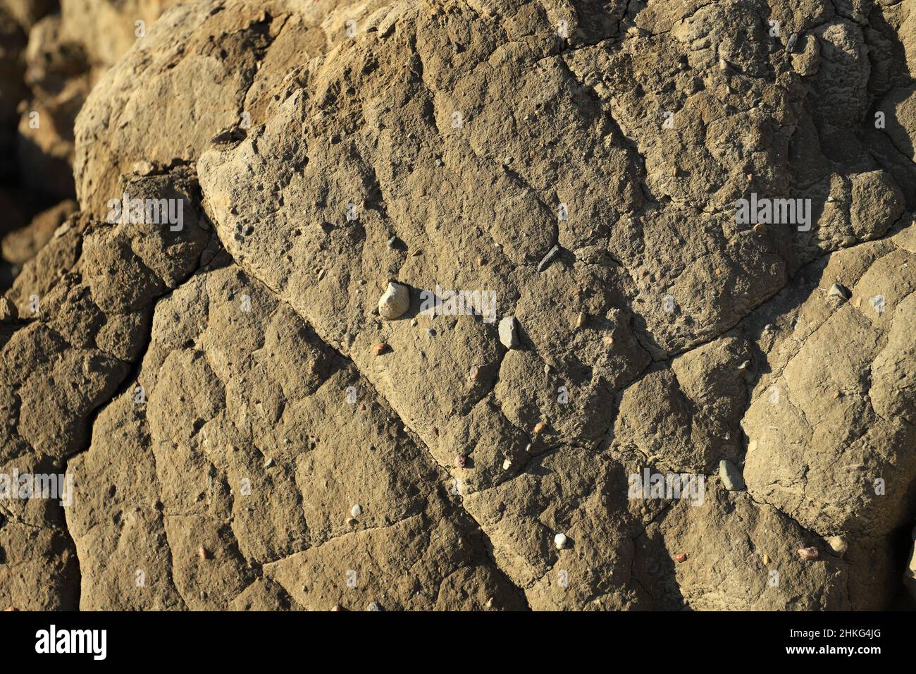 Clay Soil with Pebbles and Cracks Stock Photo