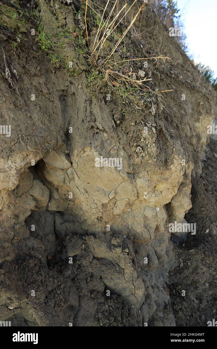 Clay soil in cliff wall on sea shore, Baltic Sea, Gdynia, Poland Stock Photo