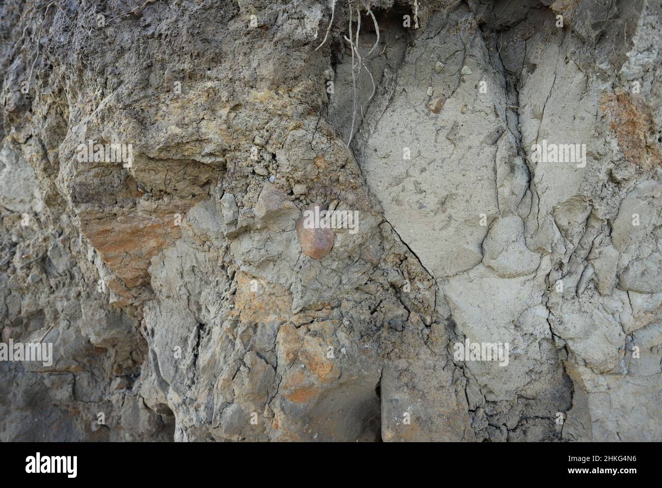 Clay soil wall cross-section on the coast Stock Photo