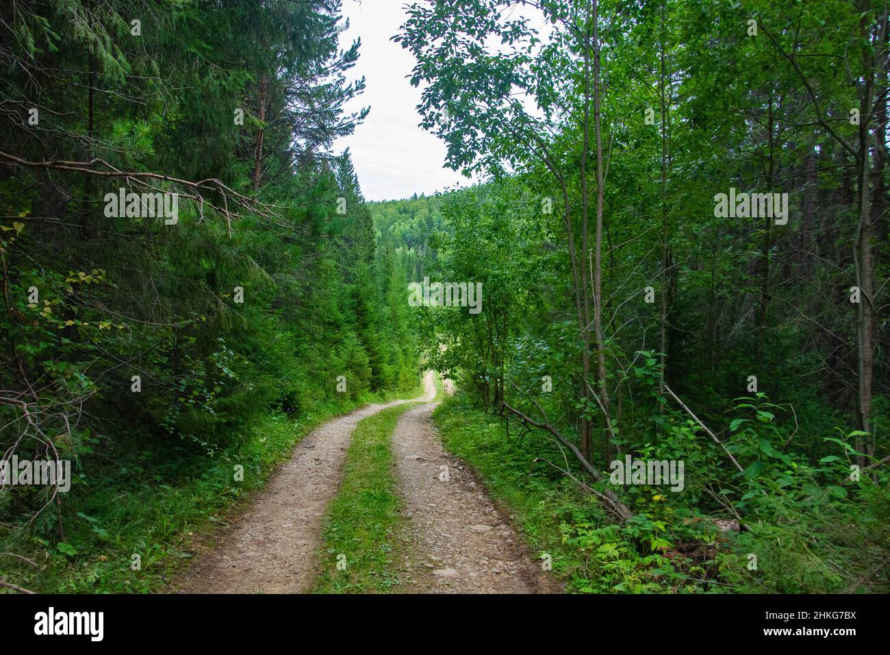 High park leaf hi-res stock photography and images - Alamy