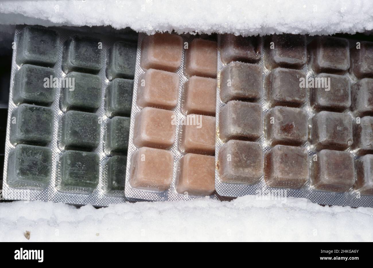 Aquarium fish frozen food Stock Photo Alamy