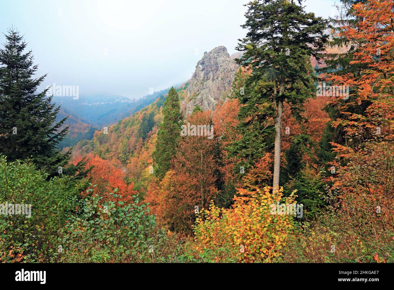 The mountain in the colors of autumn Stock Photo