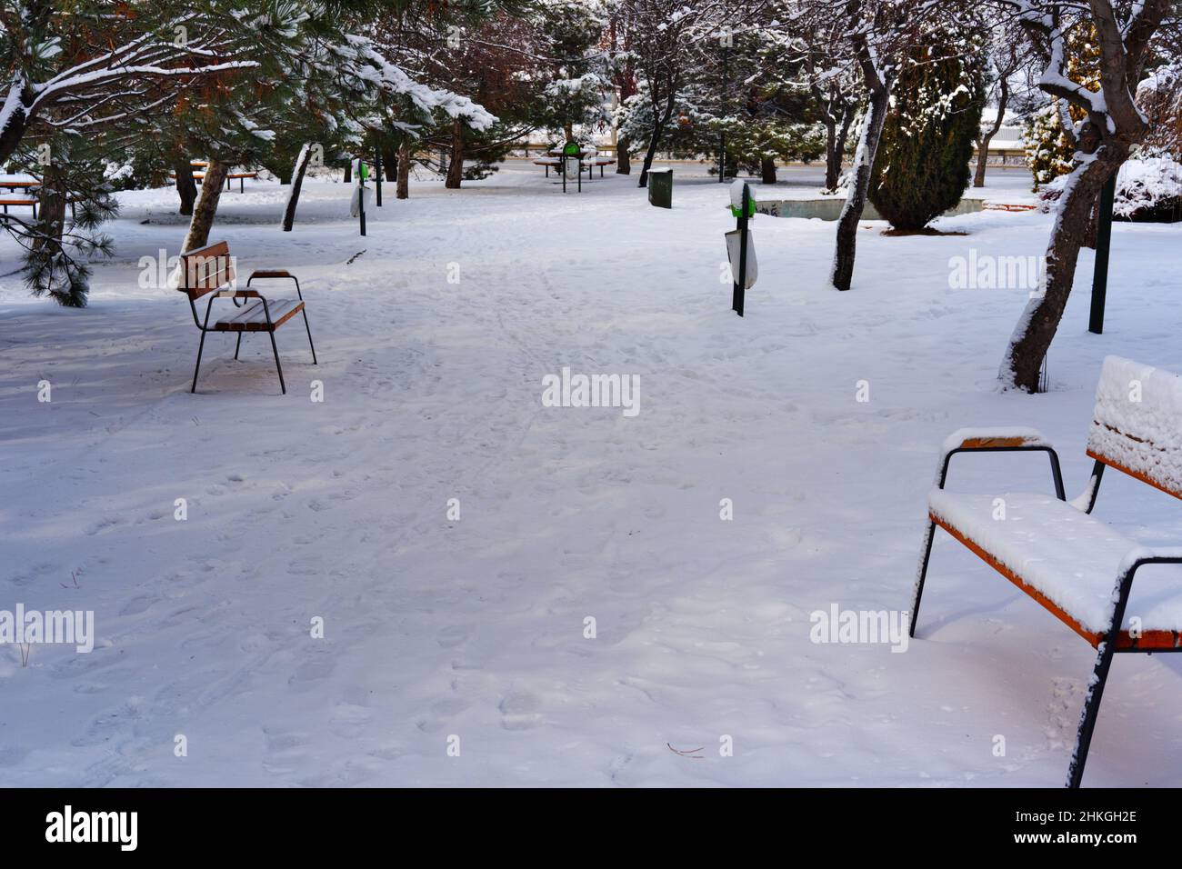 Wooden bench, bushes and trees at park under snow in winter Stock Photo ...