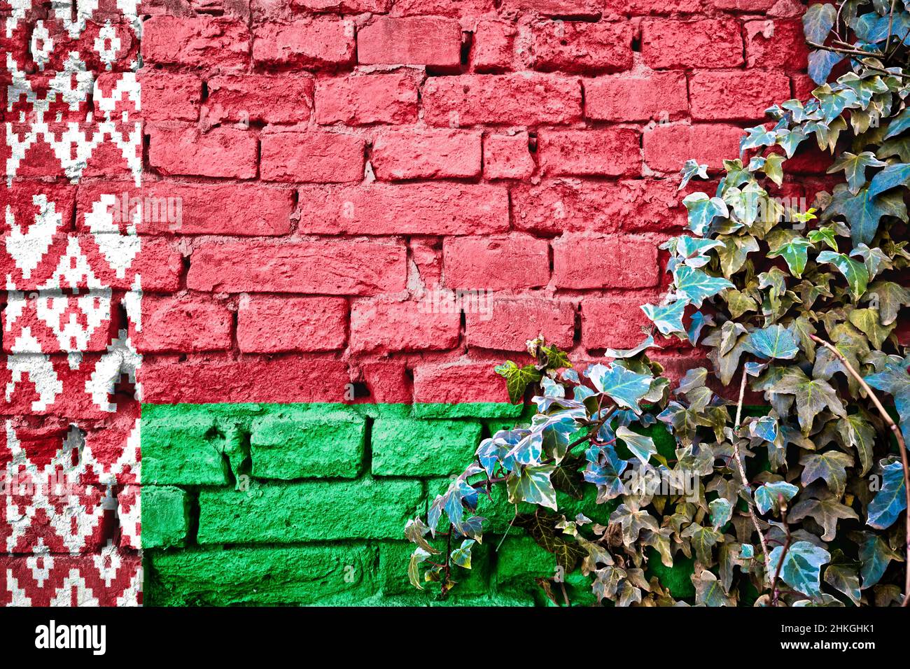 Belarus grunge flag on brick wall with ivy plant, country symbol concept Stock Photo